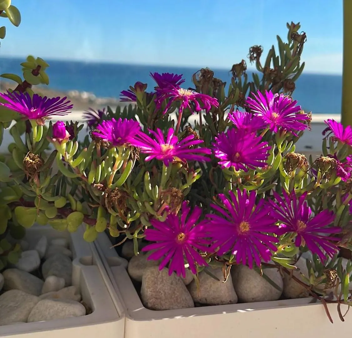 Rincon Idilia Apartment Rincon de la Victoria 0*,  Spain