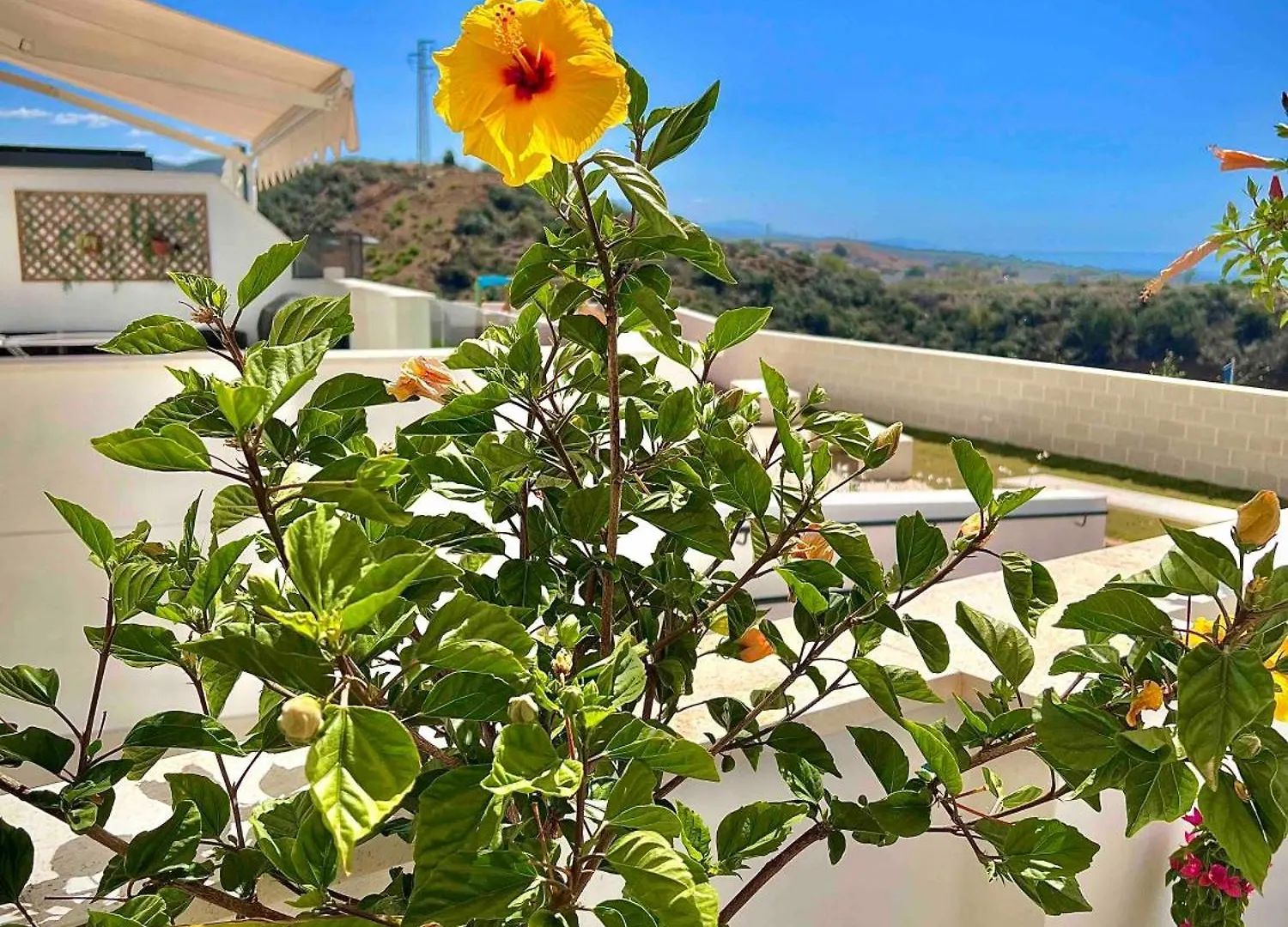 Apartamento Rincon Idilia Rincón de la Victoria